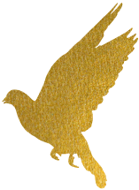 重磅升級!中為檢驗完成CNAS擴項(圖1) 重磅升級!中為檢驗完成CNAS擴項(圖1)